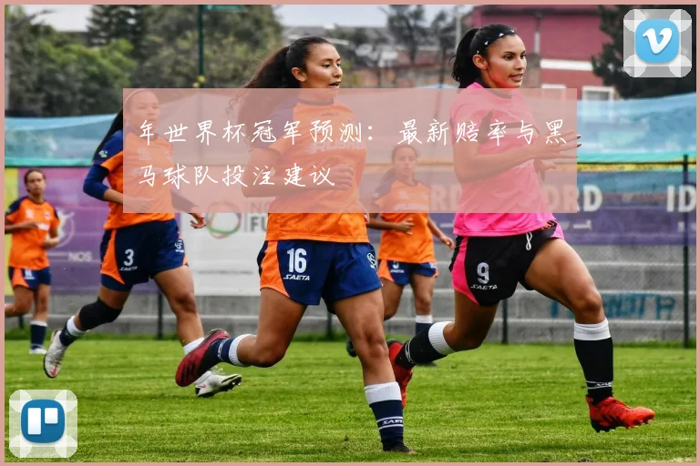 年世界杯冠军预测:最新赔率与黑马球队投注建议
