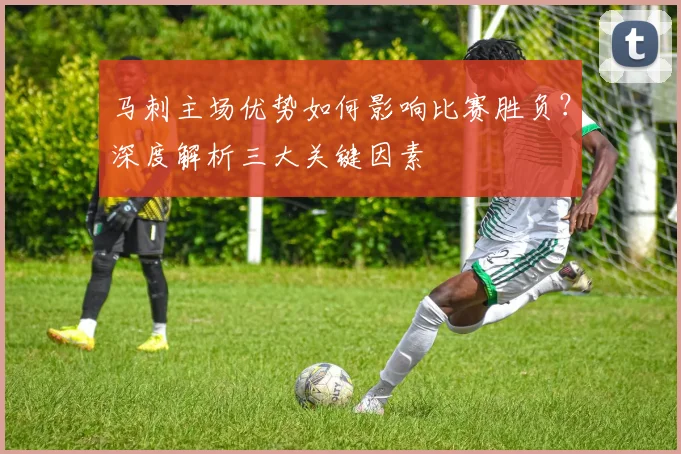 马刺主场优势如何影响比赛胜负?深度解析三大关键因素
